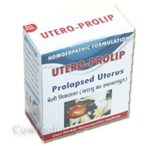 Effective Relief from Prolapse.