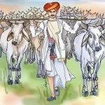 Milk and Draugh breed of Indian cows.