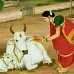 Gau Pooja.